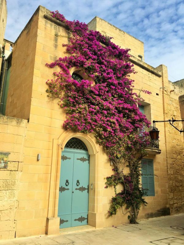 Mdina