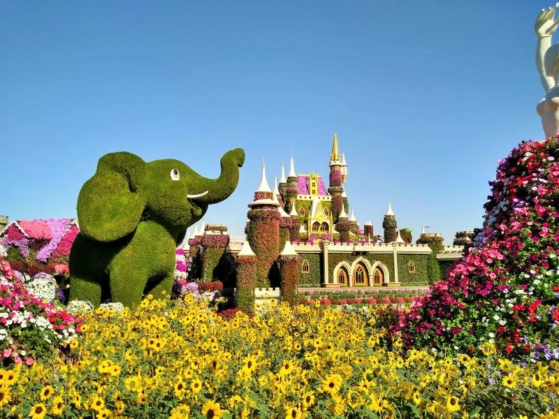 Miracle Garden – Flower Garden in Dubai