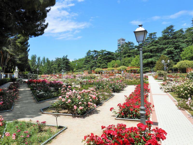 rose garden madrid