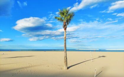 abruzzo beaches